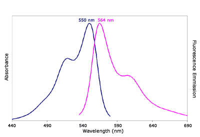 Absorbance and Fluorescence Emission