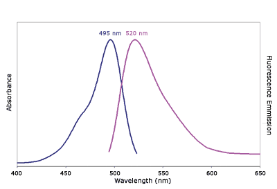 Absorbance and Fluorescence Emission